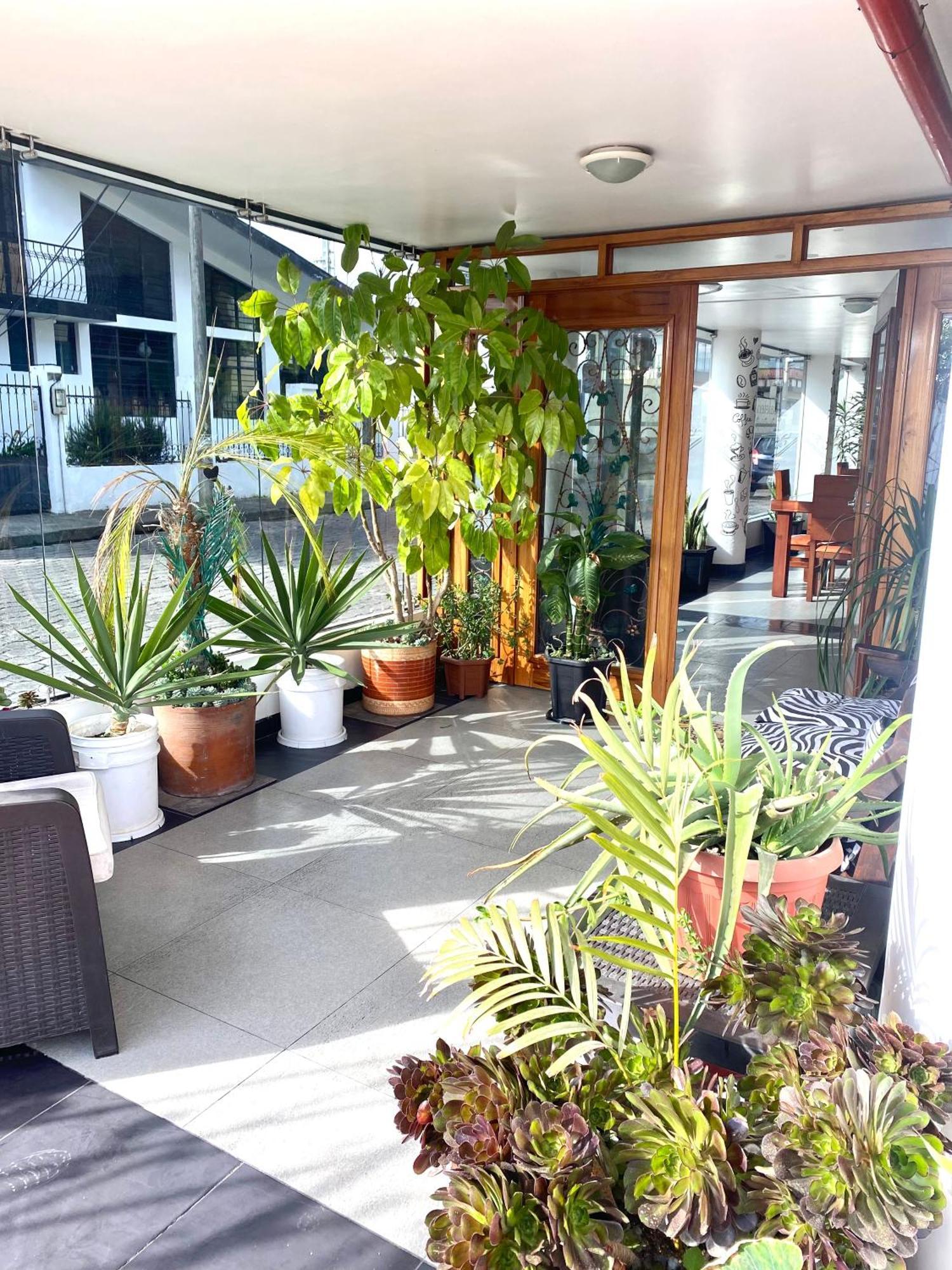 לטקונגה Loreto Hotel מראה חיצוני תמונה